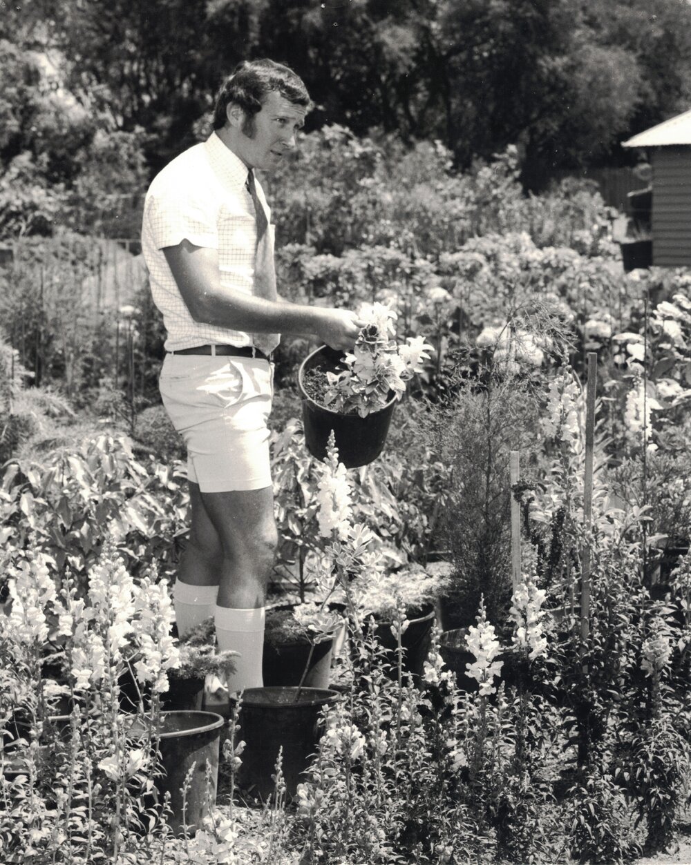 Brian Carter, Parks and Gardens