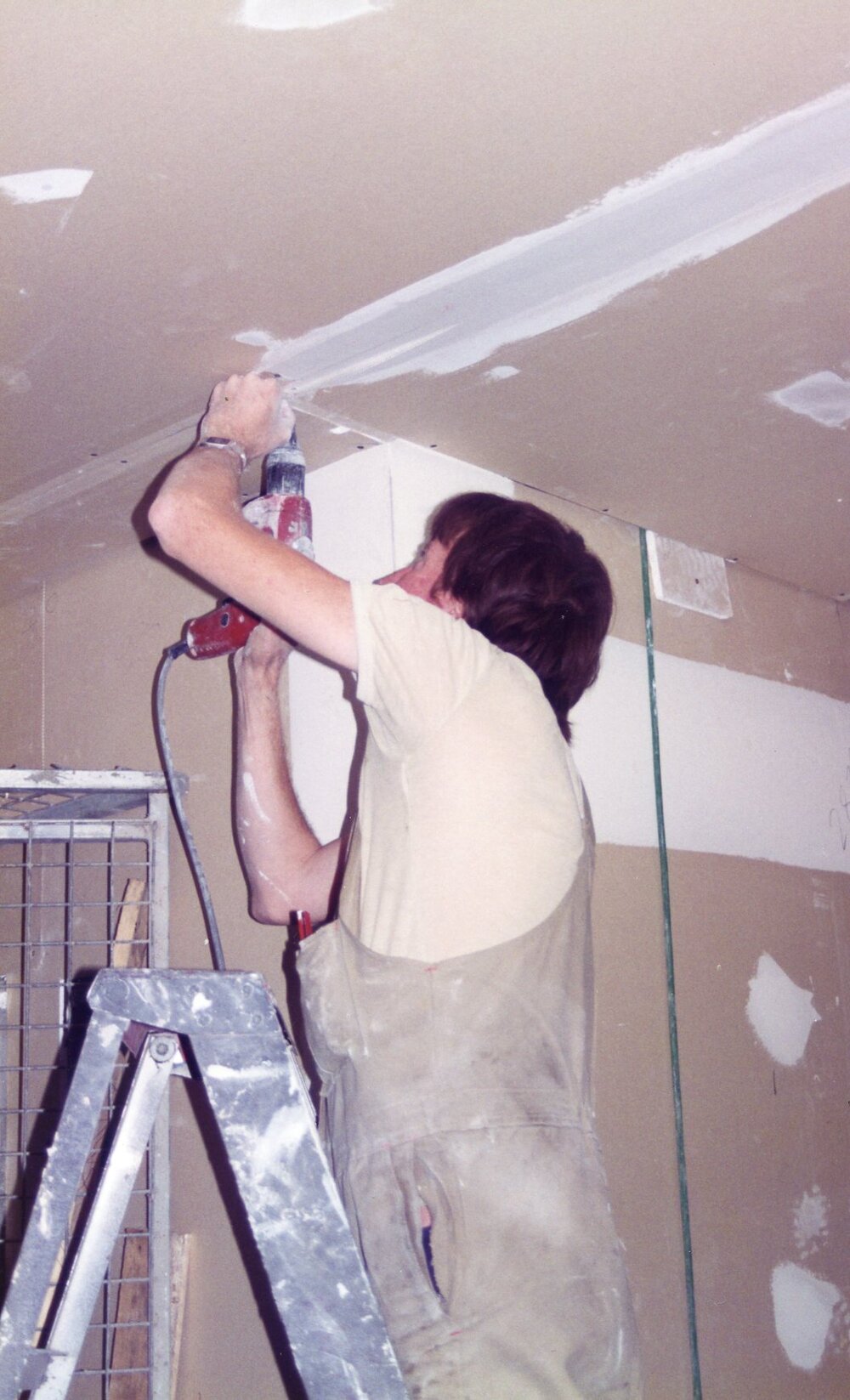 106 Construction of Frankston Cultural Centre (renamed the Frankston Arts Centre and Library)