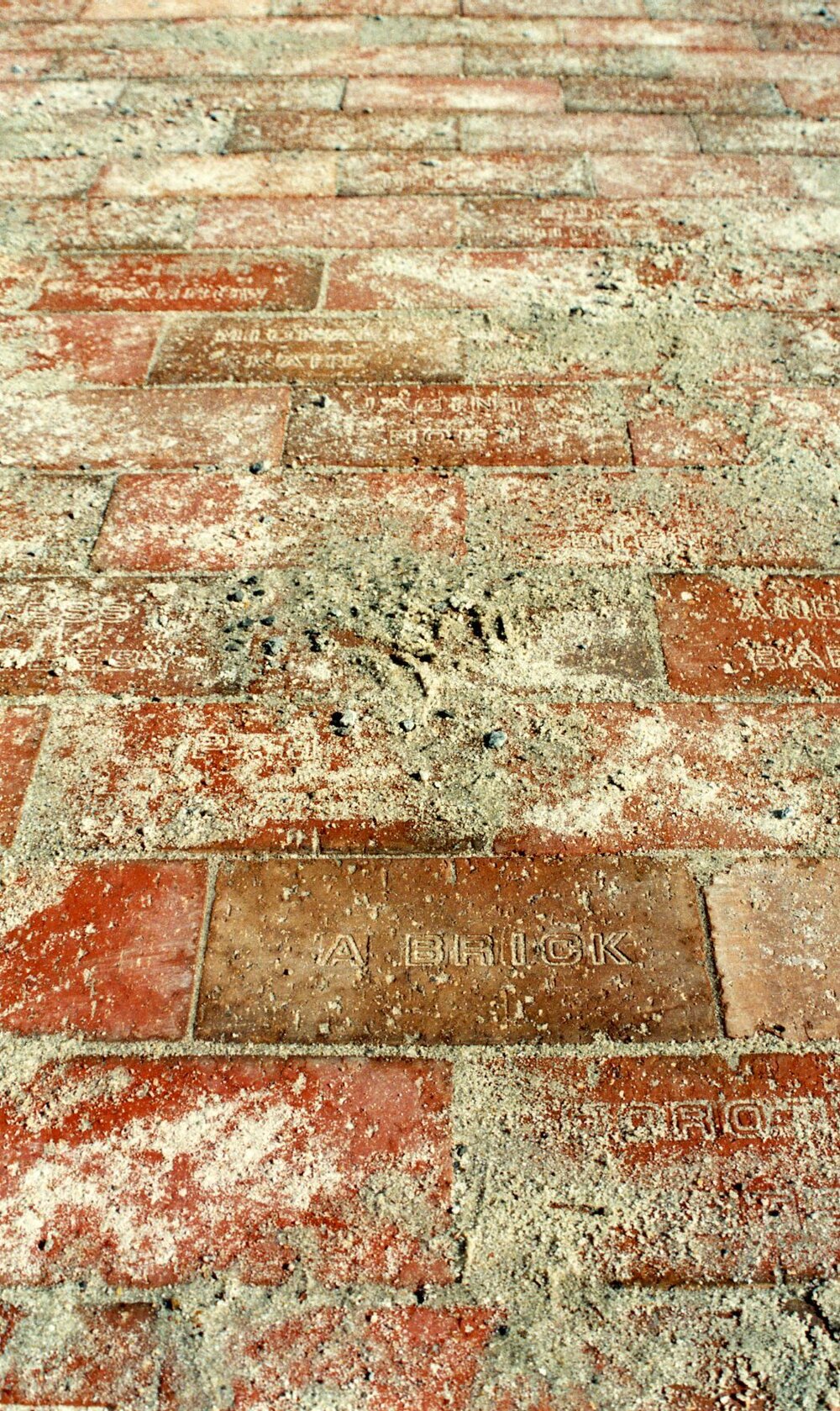 147 Construction of Frankston Cultural Centre (renamed the Frankston Arts Centre and Library)