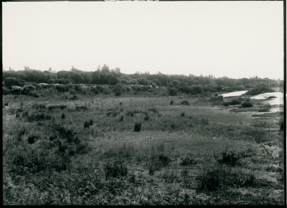 The Seaford swamp between Wells Road and Railway Parade in the 1930's