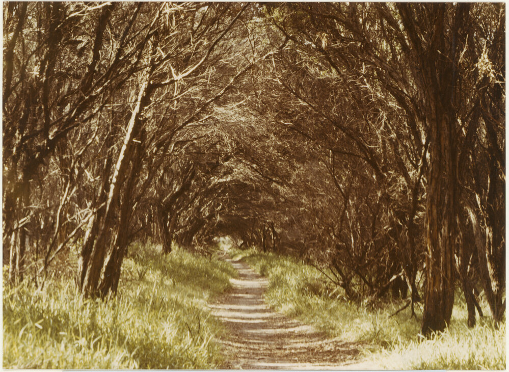 The Seaford Foreshore, circa 1970 -- The old bicycle track 
