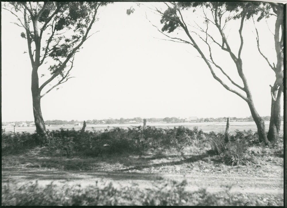 This view is looking from Wells Road to the Seaford Railway convertor station from about where Austins Road is now