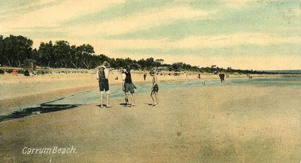 Postcard - Carrum - 008