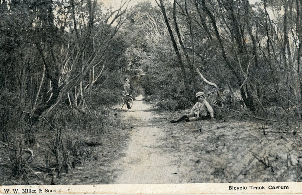 Postcard - Carrum - 009