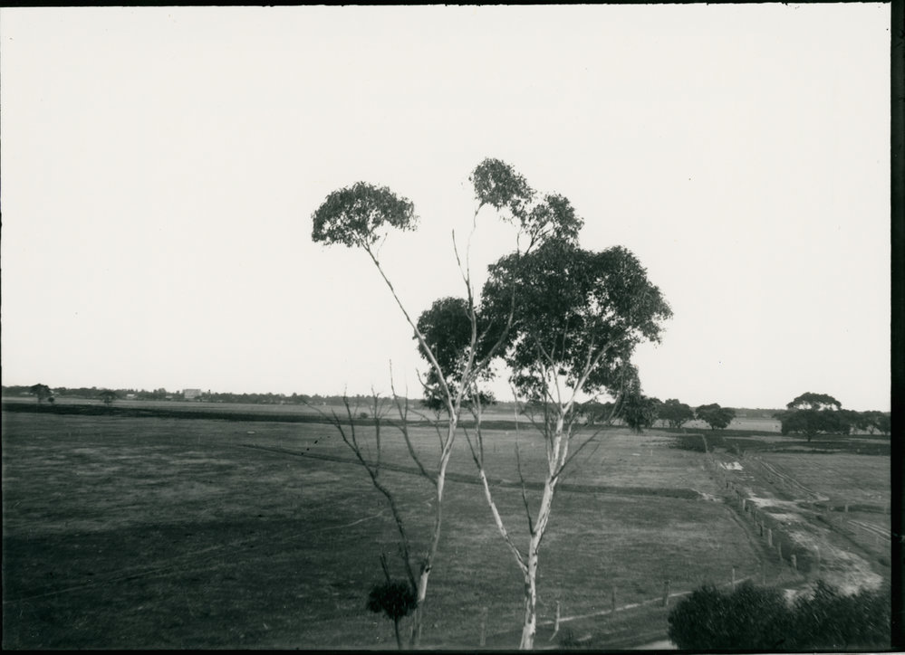 Probably the intersection of Wells and Seaford Roads in Seaford with the railway convertor station in the background 