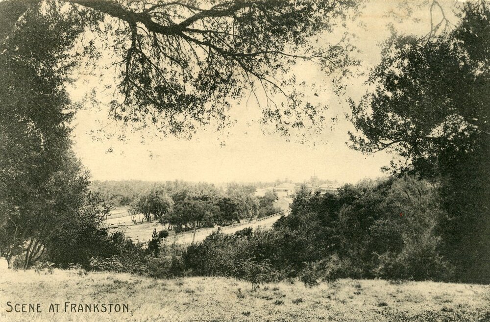 Postcard - Frankston - 071