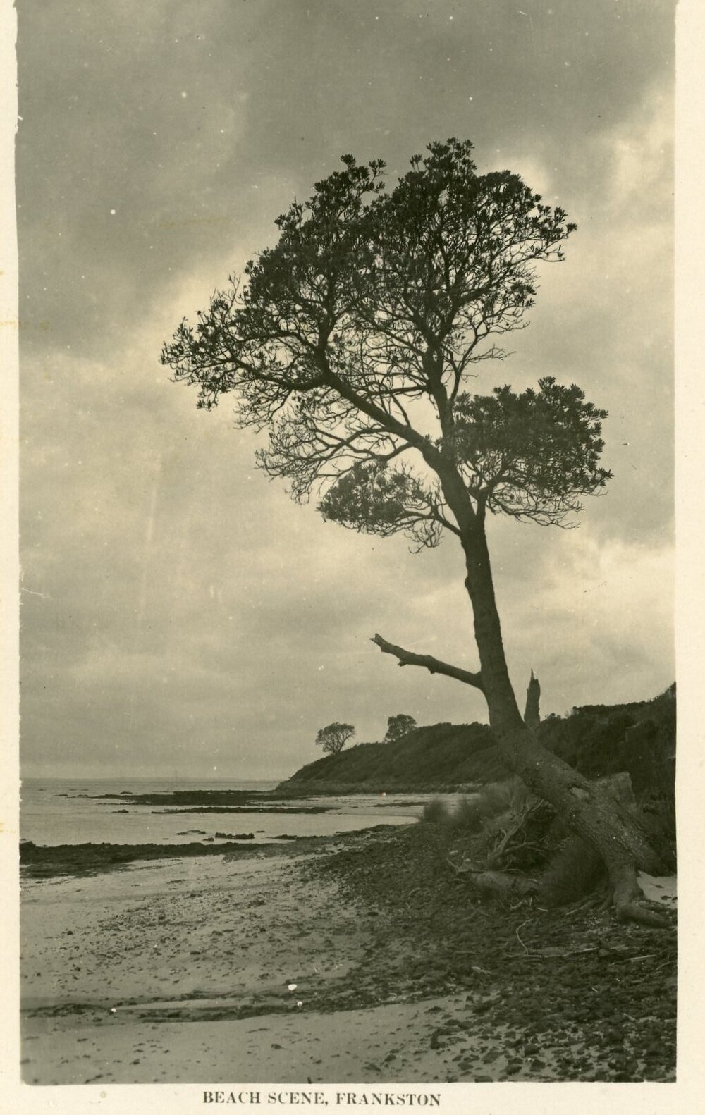 Postcard - Frankston - 073