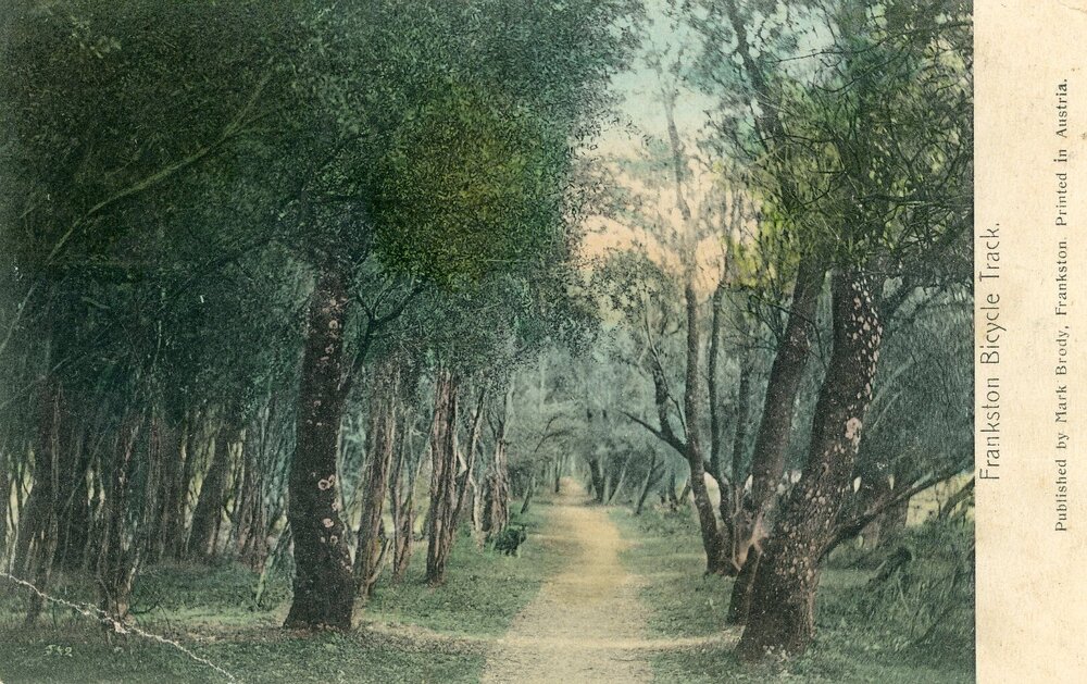 Postcard-Seaford-009