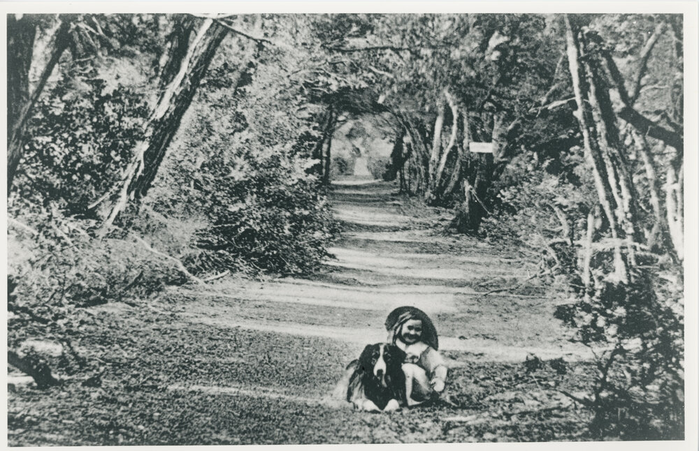 Lovers' Lane, Seaford foreshore