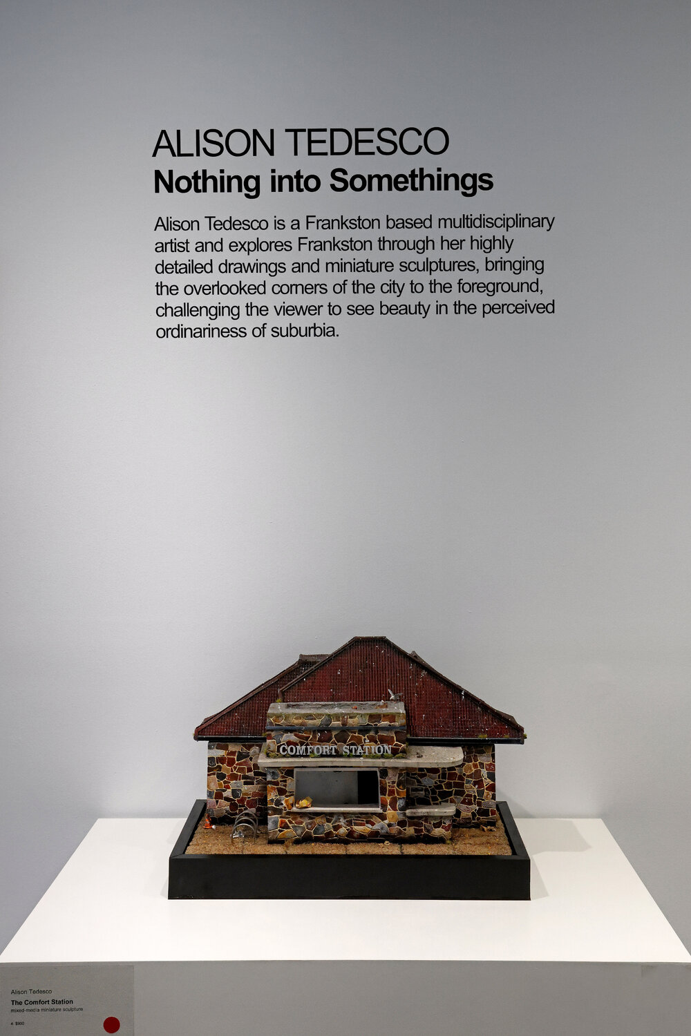 004 Alison Tedesco, Nothings into Somethings 01