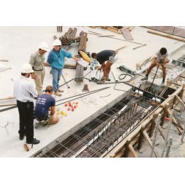 048 Construction of Frankston Cultural Centre (renamed the Frankston Arts Centre and Library)