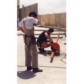 109 Construction of Frankston Cultural Centre (renamed the Frankston Arts Centre and Library)