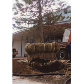 013 Frankston Cultural Centre - construction