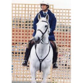 047 Frankston Cultural Centre - opening