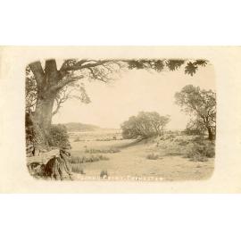 Postcard - Frankston - 092