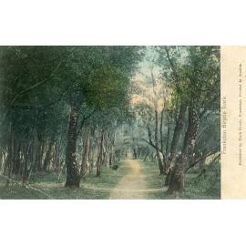 Postcard-Seaford-009