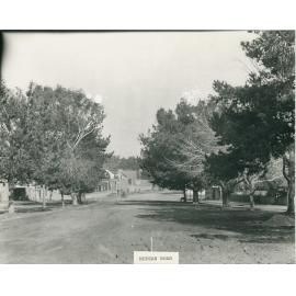 Bay Street, looking south