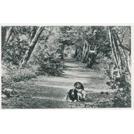 Lovers' Lane, Seaford foreshore