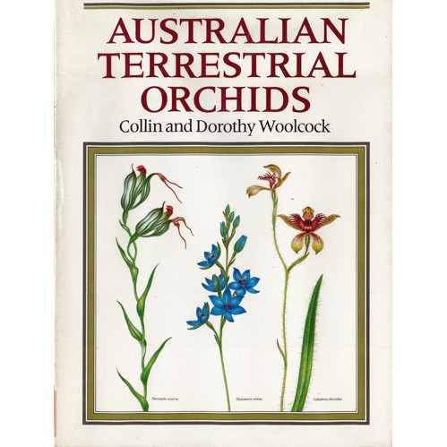 Australian terrestrial orchids 
