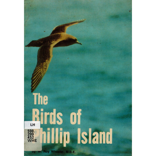The birds of Phillip Island 