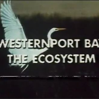 Westernport Bay : the ecosystem.