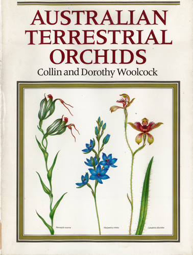 Australian terrestrial orchids 